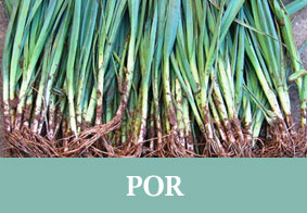 POR menu