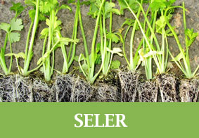 SELER menu