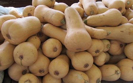 Early Butternut m
