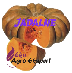 Dynie jadalne