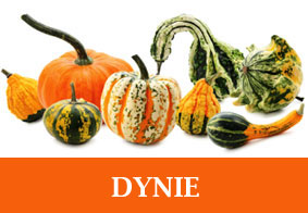 Dynie menu