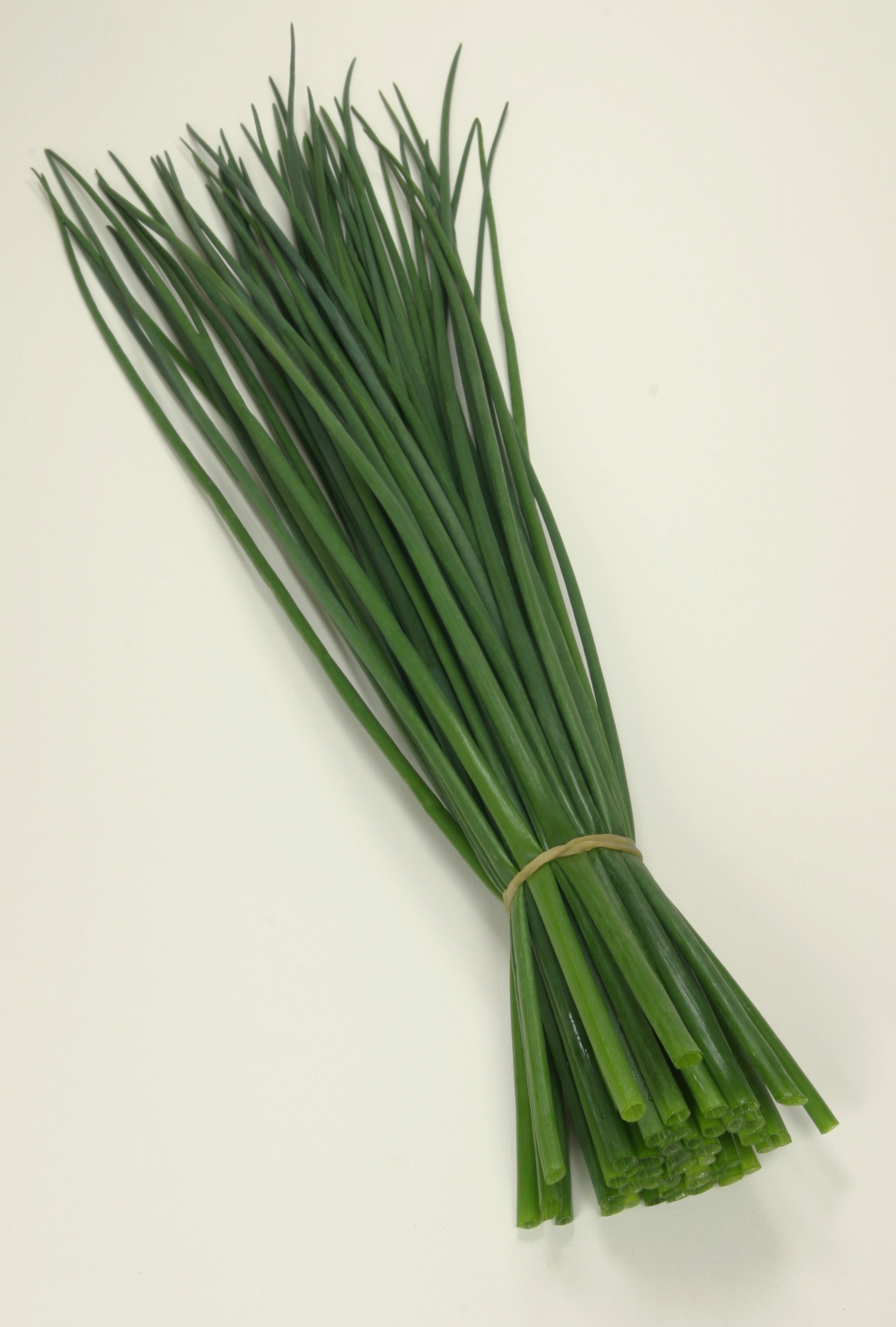 szczypior